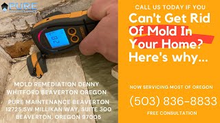 Mold Remediation Denny Whitford Beaverton Oregon - Pure Maintenance Beaverton - 503-836-8833