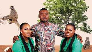 Oscar makamu Nsini Diamond