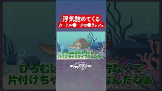 浮気詰めてくるタートル●ークの●ラッシュ #アニメ #コント #マリマリマリー