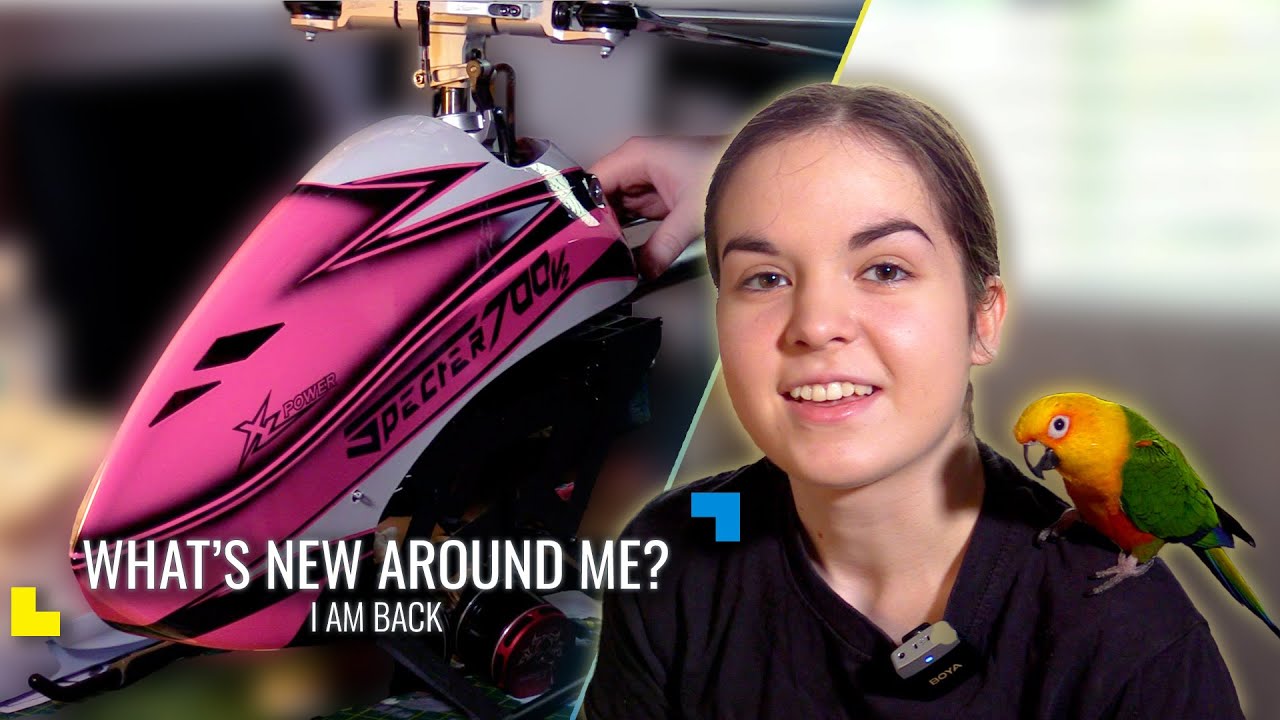 I Am Back - With birds and other chaos