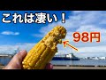 ガッツリ釣れる❗️激安の特攻餌！トウモロコシの使い方‼️🌽
