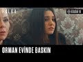 Orman evi basılıyor! - Halka 19. Bölüm