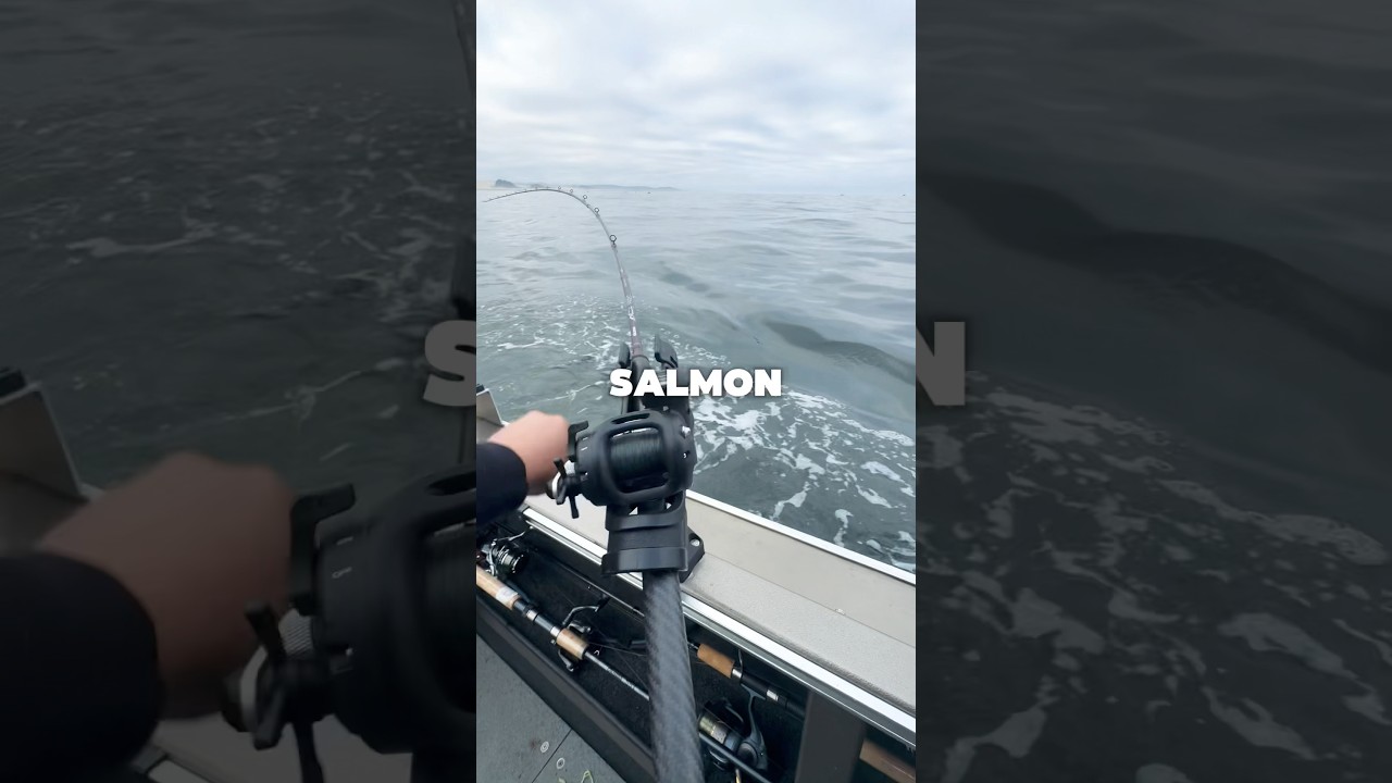 NEARLY GOT My Dream Salmon On The Oregon Coast 