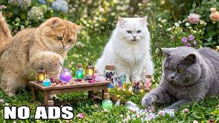 12 Hours Calming Music for Cats 💖 Relaxing Background Music for Cozy Cat Homes