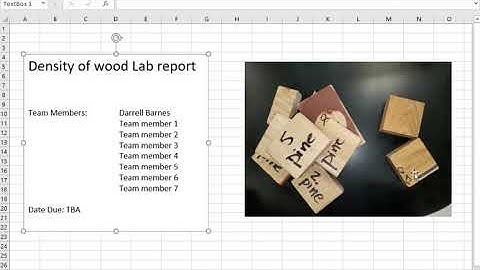 Excel density lab report Draft 3
