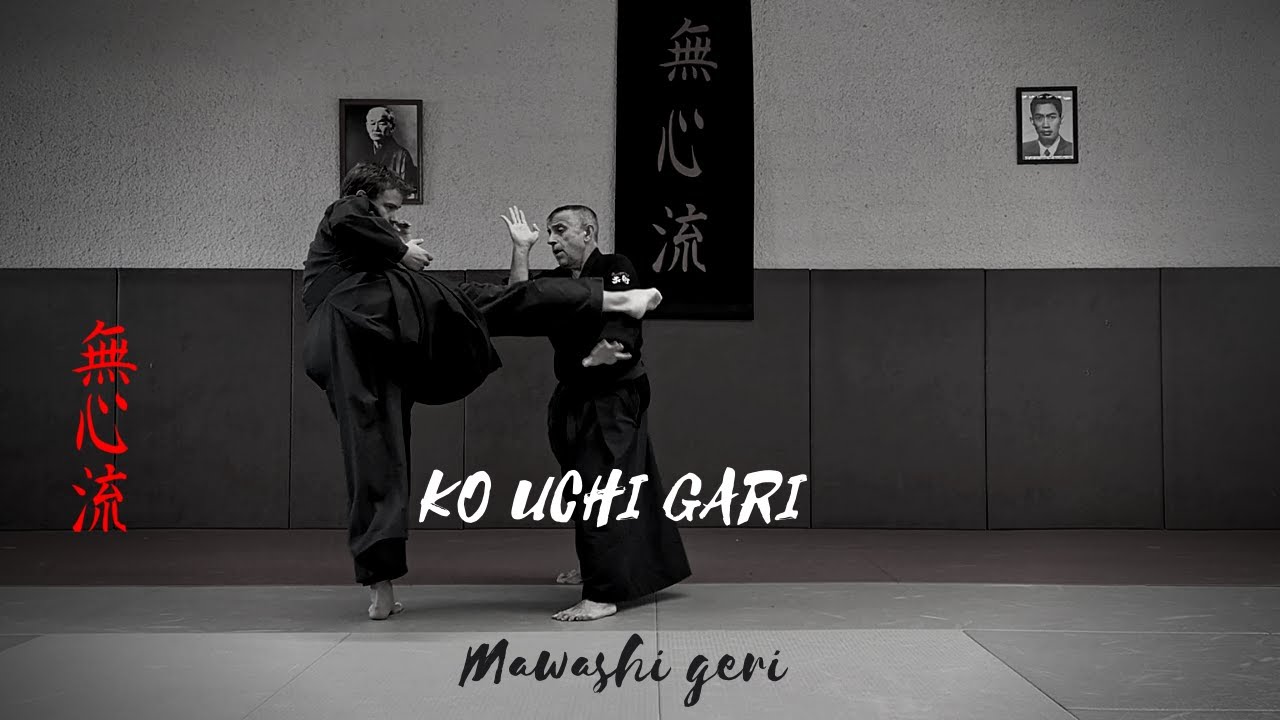 Mushin ryu Ju jitsu Ippon kumite: Mawashi geri N°5.