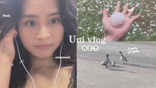 Uni Life in Small Moments Vlog: Studying, Assessment, Friends & Ducks Included 🦆📚🤍 screenshot 4