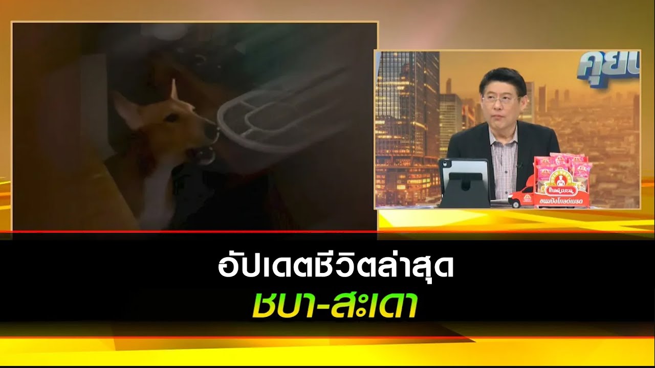 อัปเดตชีวิตล่าสุด "ชบา-สะเดา" กับอาการป่วยของชบา