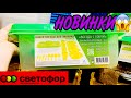 СВЕТОФОР🚦СРОЧНЫЙ ВЫПУСК❗️ ТОПОВЫЕ НОВИНКИ❗️САМЫЕ НИЗКИЕ ЦЕНЫ😱 МАГАЗИН СВЕТОФОР ОБЗОР ПОЛОЧЕК ИЮНЬ