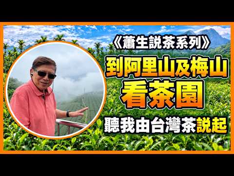 到阿里山及梅山看茶園 講你知什麼是烏龍茶？高山烏龍茶？ 還有最靚的烏龍茶是嘶哪種？ 聽我由台灣茶說起 《蕭生說茶系列》2026-10-03