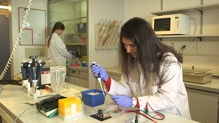 Hepatitis E – Ansteckung durch Lebensmittel