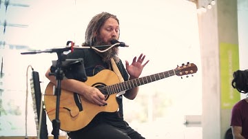 Mike Love "Permanent Holiday" Live@Salt