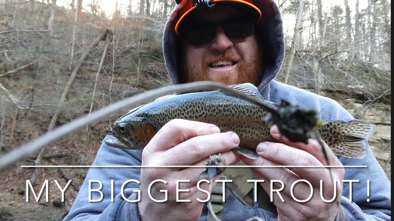 A Beautiful Day on the River — Fly Fishing East KY Tailwaters YouTube
