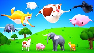 Cows Fly in the sky - Funny animals Become Fat animals | Animals Like a Balloons Flying In The Sky