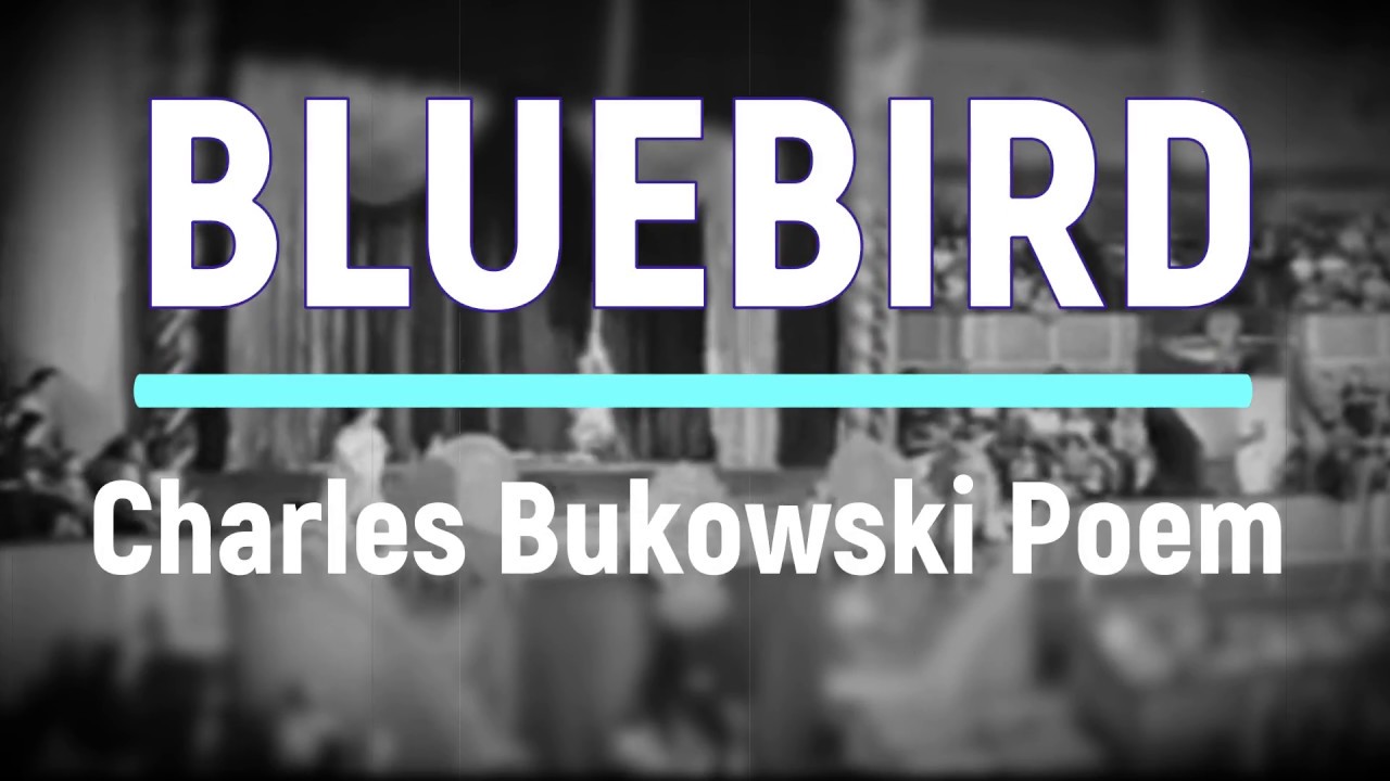 Bluebird (Poem by Charles Bukowski ) YouTube
