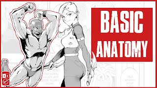 How to Draw BASIC ANATOMY for Manga:Comic creation