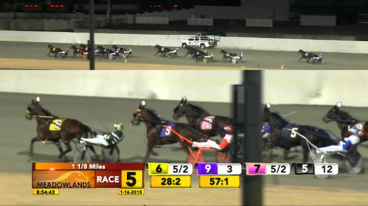 Meadowlands January 16, 2015 - Race 5 - Trevor's Bebe