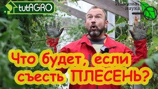 ПЛЕСЕНЬ - ЭТО ВКУСНО! Что будет, если съесть плесень? А если съесть много плесени? А если чуть-чуть?