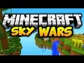 Skywars 4  choisis ton partenaire