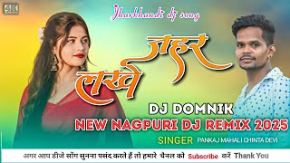 Jahar lakhe Tor Jawani dj Song //New Nagpuri Dj Remix Song 2025 // Nagpuri Dj //DJ  Domnik Song