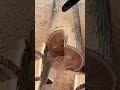 the process of cutting a piece of wood using a chainsaw to the desired shape size#shorts