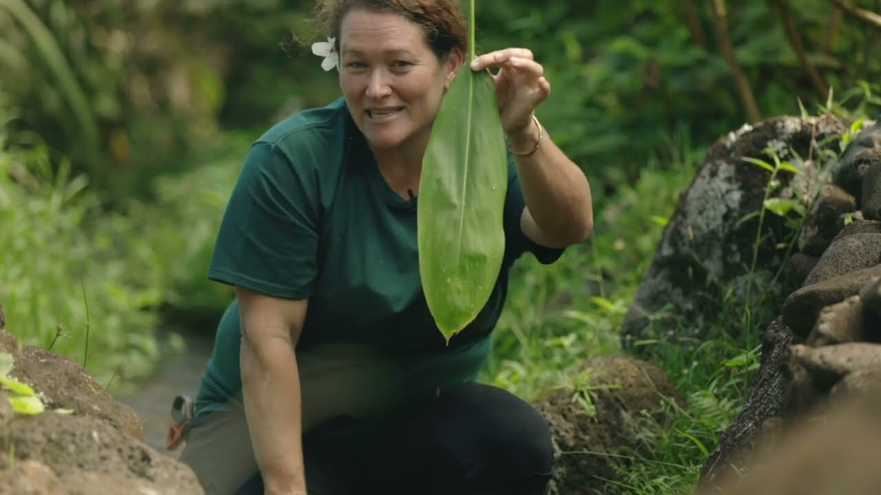 Hawaii Education Series Canoe Plants YouTube