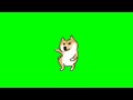 End of video