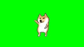 Y Dans Of Doge Screen Green