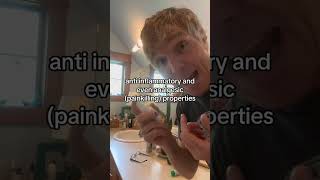 Pet Dental Pain- Fast acting, inexpensive and effective home remedy!