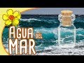 BENEFICIOS DEL AGUA DEL MAR