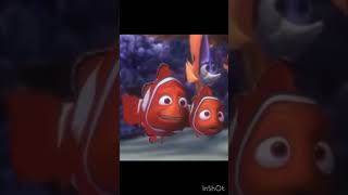 Da sponge bed #funny #meme #findingnemo #gangstersparadise