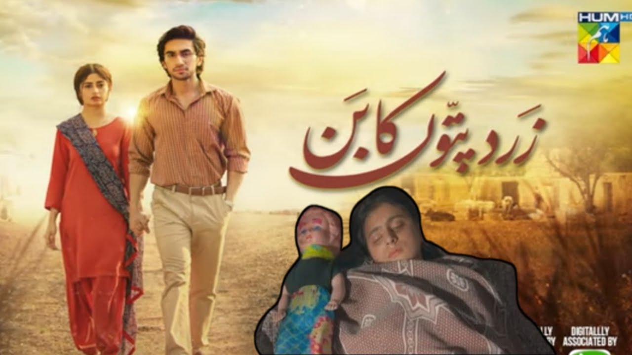 Zard Paton Ka Ban Episode 11 Sajal Aly hamza Sohail Zard Paton Ka zard-paton-ka-ban-episode-11-sajal-aly-hamza-sohail-zard-paton-ka
