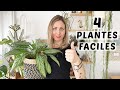 4 plantes faciles  entretenir  plantes increvables 