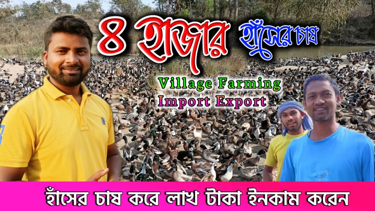 হাঁস চাষ করে লাখ টাকা রোজগার করেন !! Village Farming | Has chas Purulia