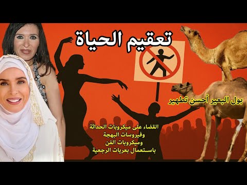 دينا الرقاصة عملت أكاديمية لتعليم الرقص والهيمنة البعرجعية التخريبية هتقفلها 250