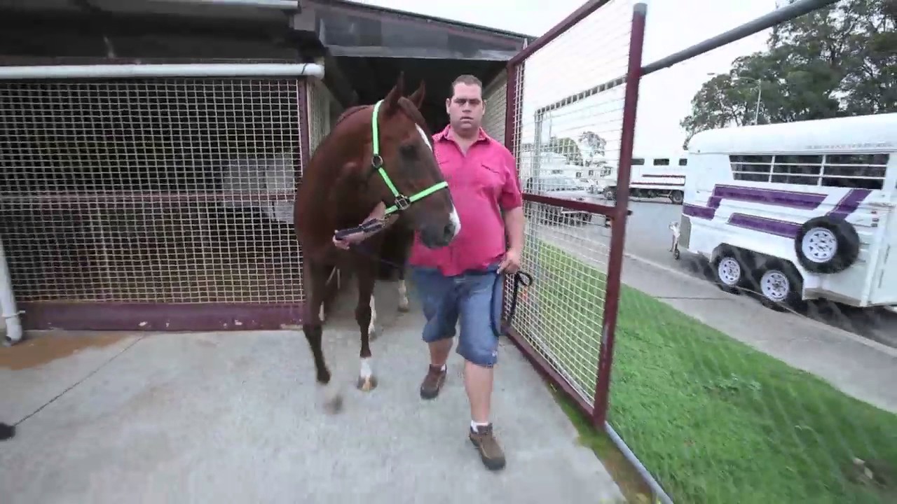 Marcus Wilson testimonial on Costin Horseshoes YouTube