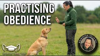 Practising Obedience With Rubix