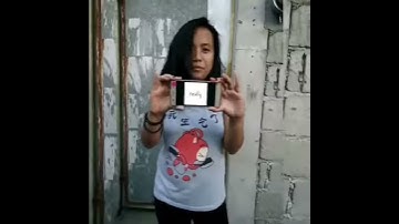 Methods of Philosophizing