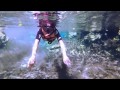Mi esperiencia en CANCUN. Media luna CENOTE Exploration &amp; Snorkel. En Akumal Quintana Roo.