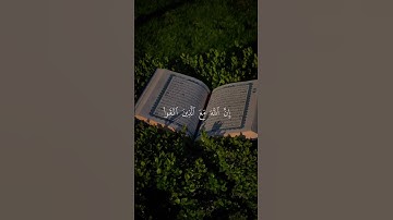 وأصبر وما صبرك إلا بالله ولا تحزن عليهم #قران #قران_كريم #راحة_نفسية #فارس_عباد #سورة_النحل