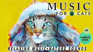 Daisy's Diary: #25 Music for Cats to Fall Asleep, Cat Music, Calming Cat Music & Nature Sounds, 4K