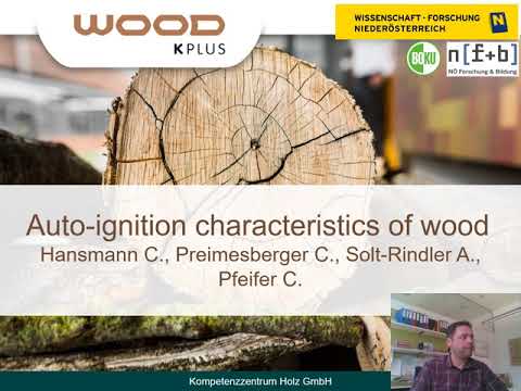 Auto-ignition Characteristics of Wood
