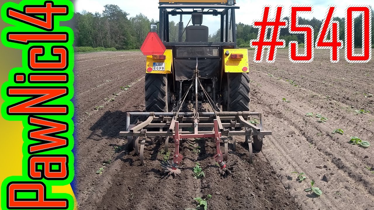 Ekopielnik w dyniach, czyli mechaniczne zwalczanie chwastów - Życie zwyczajnego rolnika #540