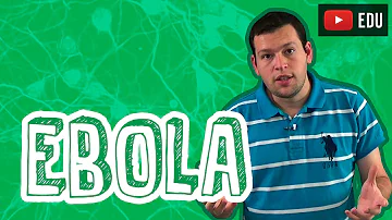 Qual a origem do vírus Ebola?