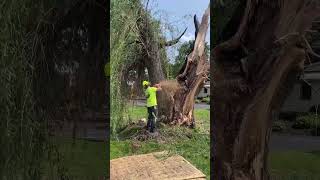 Protective Mats for Storm Damage Cleanup