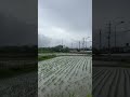 Mount Tsukuba ..! rainy morning #dont_forget_to_like_and_subscribe