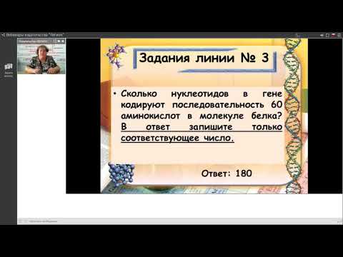 Решение задач по молекулярной биологии