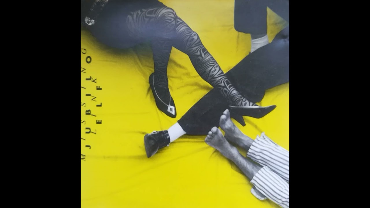 JUBILO Elf: Missing Link/ Elfi Aichinger -Vocals, Christoph Cech- Keybds., Mecky Pilecky (Dr.,perc)