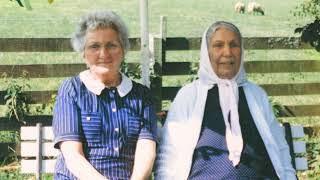 Dauwd - 'Theory of Colours' (Official Audio)