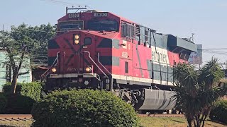 ¡ESTE TREN TRANSPORTA LOS RIELES!¡ESPECTACULAR TREN ROBEL DE FERROMEX!